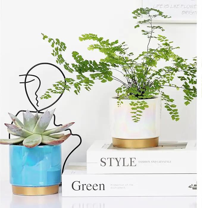 Gepege Succulent Pots for Plants, Succulent Planter with Drainage Holes, Ceramic Pot for Indoor Plant, Set of 4 by GreenHaven Gardens
