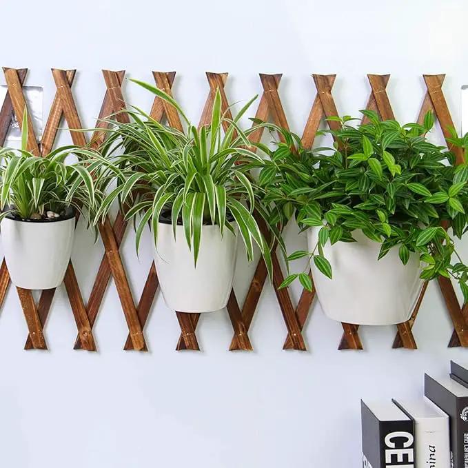 3 Packs 7.3" Plastic Self Watering Pots Wall Hanging Planters Wall Mounted Wicking Flower Pots for Indoor and Outdoor African Violet, Ocean Spider Plant, Orchid, White by GreenHaven Gardens