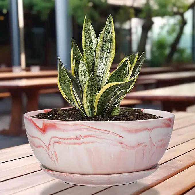 G EPGardening Large Ceramic Succulent Planter Pot with Drainage Hole and Saucer Large Marble Flower Pot for Plants Round Bonsai Planter Pot Indoor Outdoor Pink by GreenHaven Gardens