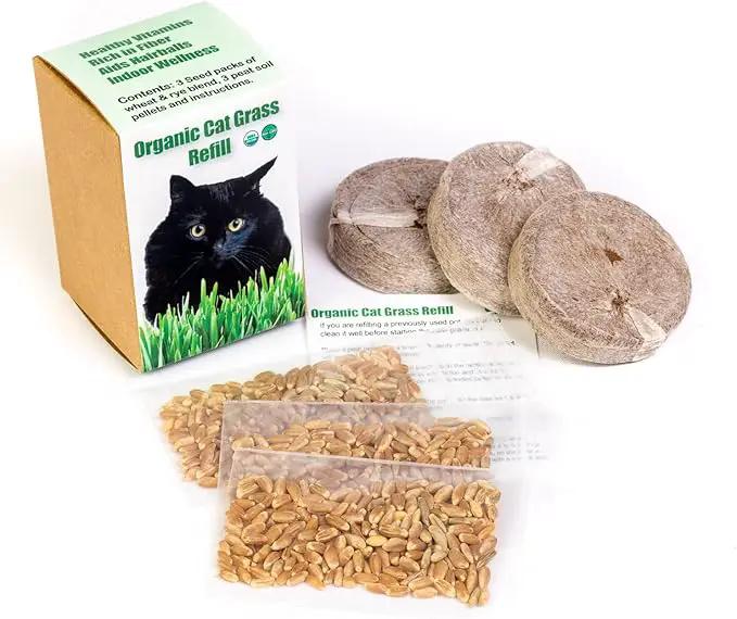 Cat Grass Refill Kit (3) by GreenHaven Gardens