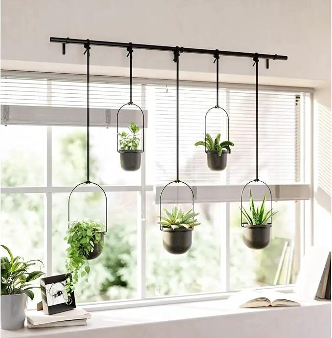 Umbra Triflora Hanging Planter for Window, Indoor Herb Garden, Set of 5, Black by GreenHaven Gardens