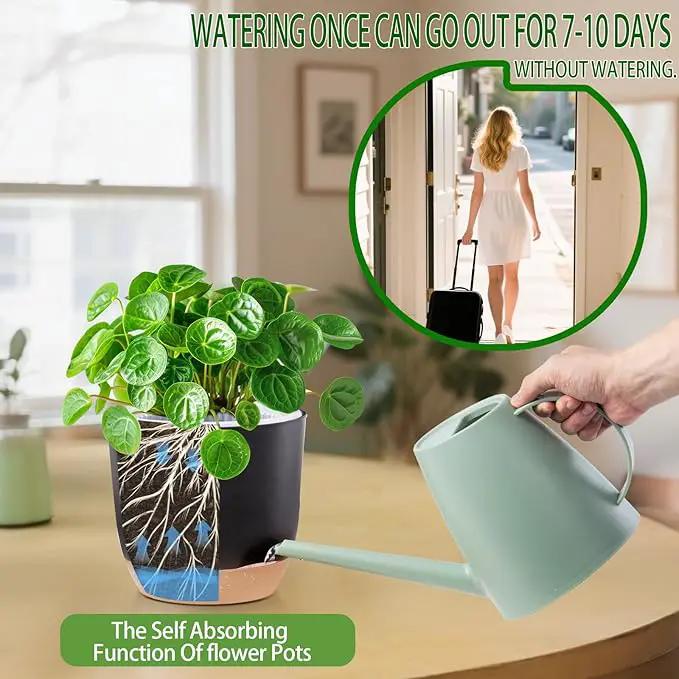 Self Watering Orchid Pots for Indoor Plants,5.8 Inch Macetas para Orqudeas,Flower Pots for Indoor Plants with Holes(Black) by GreenHaven Gardens
