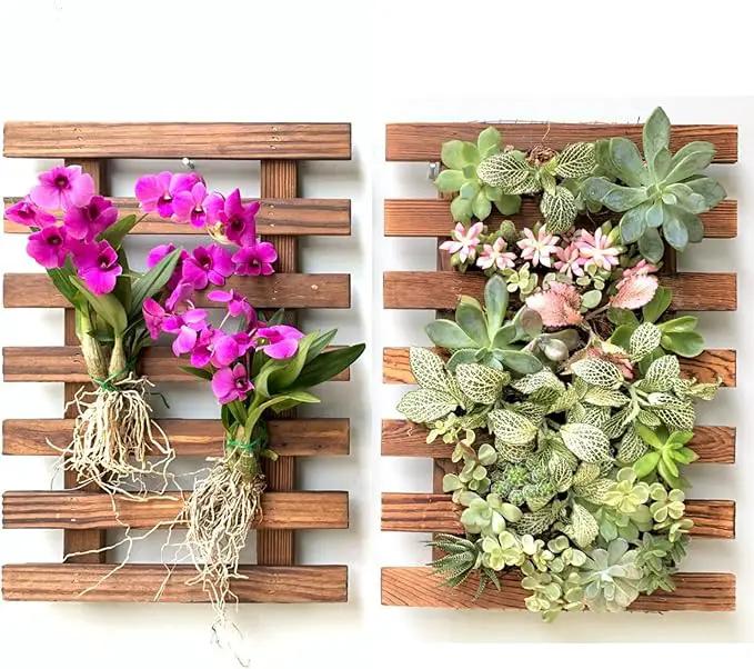 ShopLaLa Wall Planter - 2 Pack Wooden Orchid Planter Frame Display Outdoor Plants, Wall Mount Air Plants Succulent Holder Hanger, Vertical Garden Plant Wall Decor Macetas para Orquideas 15.7" (40cm) by GreenHaven Gardens