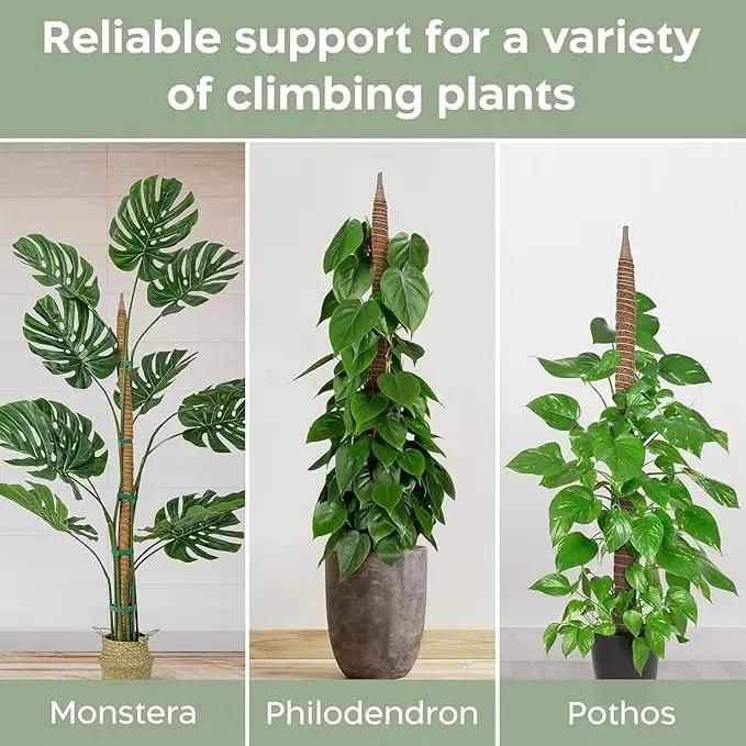 2 Pack 46'' Bendable Moss Pole Monstera Plant Support for Climbing Indoor Plants - Stakes for Potted Climbers - Tall Sticks Indoor Trellis for Houseplants - Accessories for Monstera Pot by GreenHaven Gardens