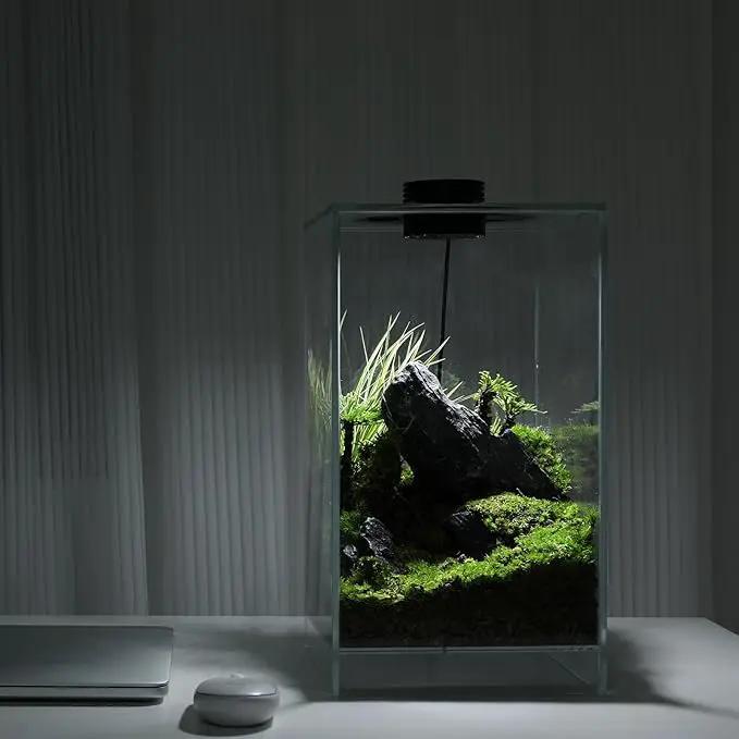 Desktop Glass Plant Terrarium with Grow Light(L7.8 W7.8 H14), for Succulent, Moss, Miniature Gardening Landscape, Betta Fish Tank, Indoor Plant Growth, Office Home Decoration (TimeControlled) by GreenHaven Gardens