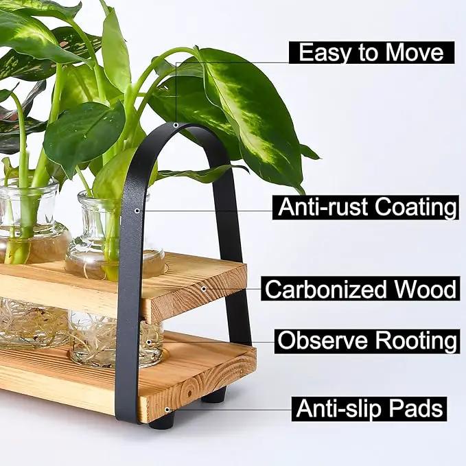 Plant Propagation Stations with Wood Stand, Desktop Plant Terrarium for Propagating Hydroponic, Flower Vase for Home Kitchen Office Decor, Plant Lover Gifts by GreenHaven Gardens