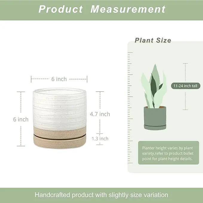 6 Inch Plant Pots, Ceramic Planter Pot with Drainage Hole & Saucer, Indoor/Outdoor Cylinder Round Planter Pot, White & Beige Glaze by GreenHaven Gardens