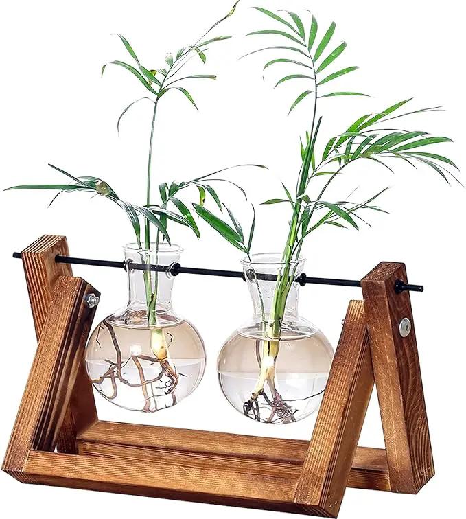 Kingbuy Glass Desktop Planter with Retro Wooden Stand and Plant Terrarium vase (2 Bulbs) for Indoor Office Desk Decor Accessories by GreenHaven Gardens