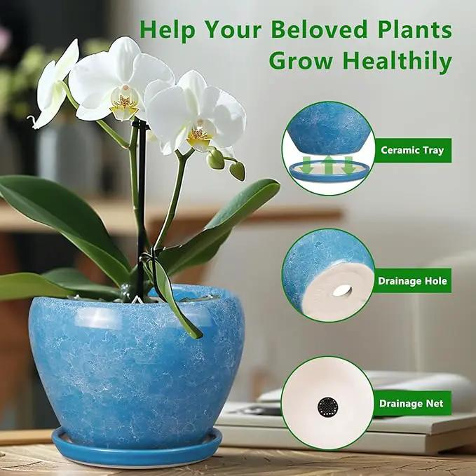 10 Inch Planter Pot - Ceramic Pots for Plants with Drainage Hole and Saucer, Round Large Flower Pot for Indoor Plants, Blue by GreenHaven Gardens
