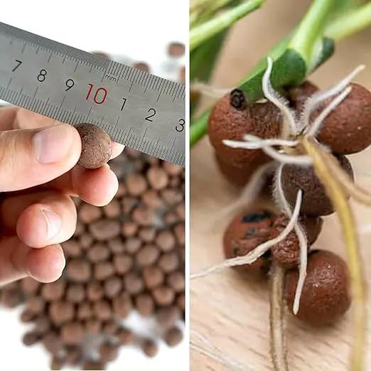 Leca Expanded Clay Pebbles 2LBS Grow Media for Indoor Plants Hydroponic Growing Gardening System Supplies … by GreenHaven Gardens