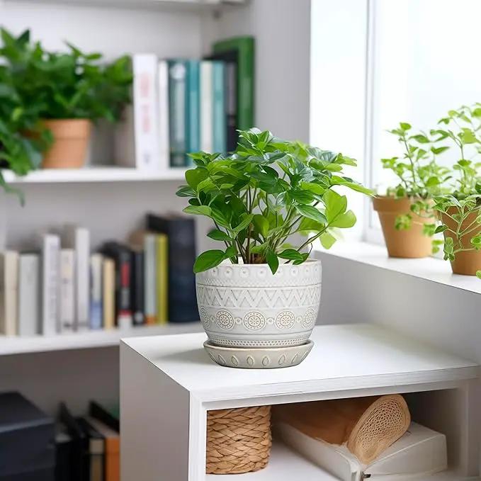 G EPGardening Ceramic Planters for Indoor Plants - 5 Inch Plant Pot for Outdoor Plants Succulent Planter with Drainage Hole and Saucer Flower Pot for Room Decor White by GreenHaven Gardens