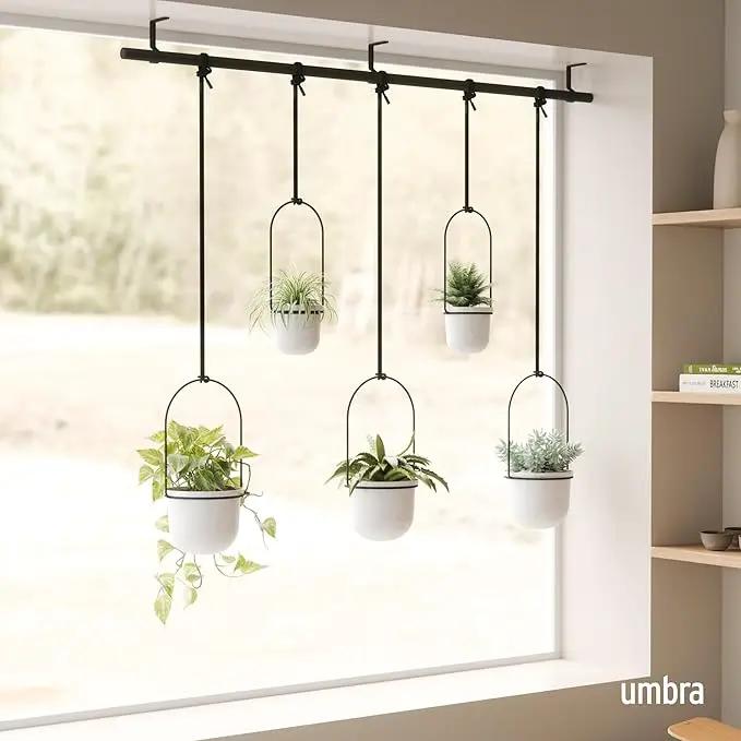 Umbra Triflora Hanging Planter for Window, Indoor Herb Garden, Set of 5, White/Black by GreenHaven Gardens