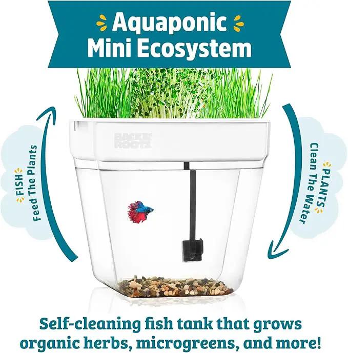 Back to the Roots Indoor Aquaponic Garden - 3 Gallon Self Watering, Mess-Free Planter and Self-Cleaning Fishtank for Herbs, Microgreens, Bamboo, Succulents, and Houseplants, support Fish by GreenHaven Gardens