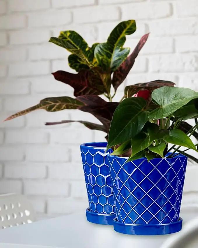 EFISPSS 6 Inch Pots for Indoor Plants,Ceramic Plant Pots,Planters with Drainage Hole and Saucer, Flower Pots Desktop Office Windowsill Decoration Gift Set of 2 - Sapphire Blue by GreenHaven Gardens