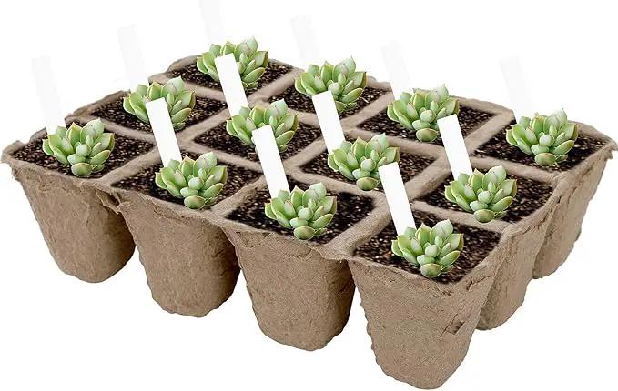 Jucoan 40 Pack Peat Pots Seed Starter Trays, 480 Cells Germination Seedling Pots, Organic Biodegradable Plant Germination Tray with 40 Plant Labels for Vegetable Flower, Herbs, Indoor Outdoor Garden by GreenHaven Gardens