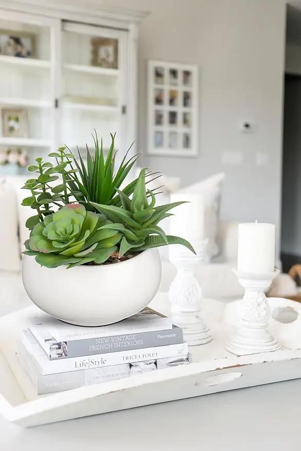 Fake Plants Artificial Succulents in Pots Faux Succulent Arrangement Potted Plant with White Ceramic Pot for Home Decor Modern Office Desk Bathroom Shelf Living Room Indoor Decoration by GreenHaven Gardens