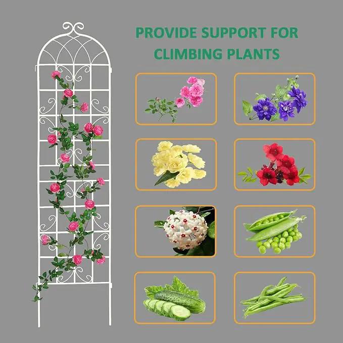 2 Pack Metal Garden Trellis 86.7" H Cream White Garden Fence Rustproof Trellis for Climbing Plants Support Roses Flower Outdoor Lawn, White Tall by GreenHaven Gardens