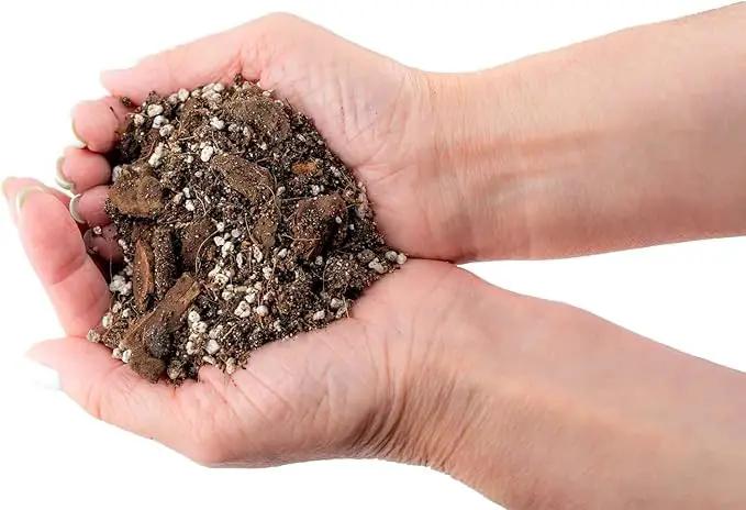 Premium Spider Plant Potting Soil Mix - (3 Quart Bag) by GreenHaven Gardens