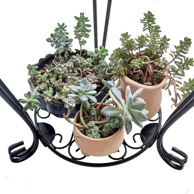 CASIMR 2-Pack Plant Stand, 2 Tier 19.2 inch Tall Metal Potted Holder Rack,Indoor Outdoor Multiple Flower Pot Shelf Rustproof Iron Garden Container for Garden Patio Living Room Corner Balcony, Black by GreenHaven Gardens