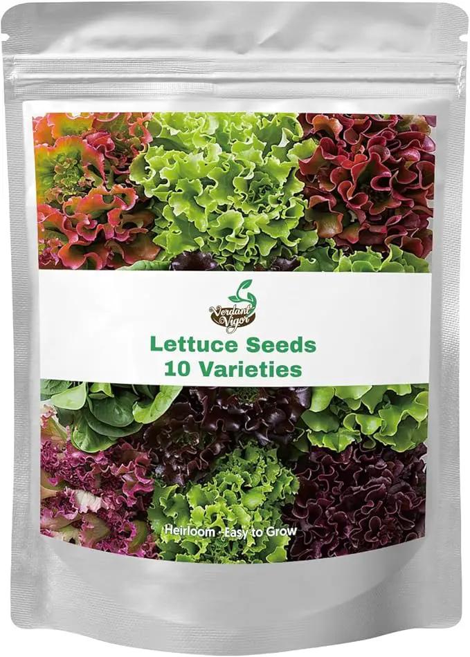 20,000+ Lettuce Seeds, Heirloom Vegetable Seed for Planting Indoor Outdoor, 10 Varieties Fresh Lettuce Salad Seeds Garden Hydroponics Kit - Romaine, Iceberg, Boston, Bibb and More, Non-GMO by GreenHaven Gardens