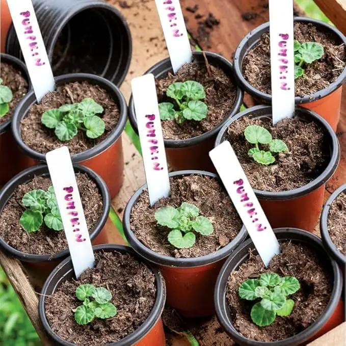 TDHDIKE 4" Small Plastic Plant Nursery Pot/Pots (100pcs Pots and 100pcs Plant Labels) Seedlings Flower Plant Container (Red) Seed Starting Pots Indoor Outdoor by GreenHaven Gardens