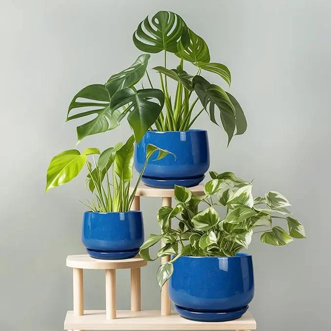 G EPGardening Ceramic Pots for Plants, 9 Inch Modern Round Planter with Drainage and Tray Indoor Outdoor for Flower, Patio Decor, Housewarming Gifts, Blue by GreenHaven Gardens