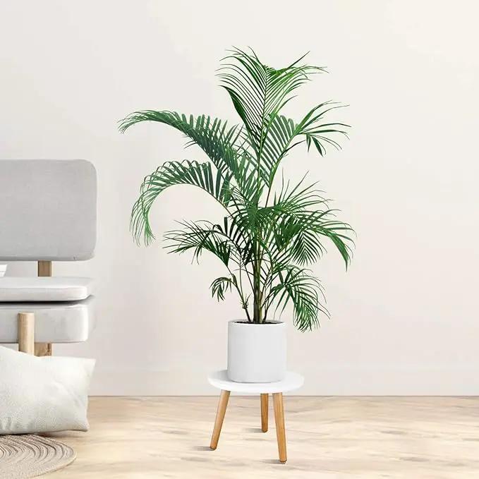 Uneedem Indoor Plant Stand, Wood Mid Century Modern Small Round Side Plant Table for Indoor Plants, 8.9" Tall Plant Holder for Flower Pots End Table by GreenHaven Gardens