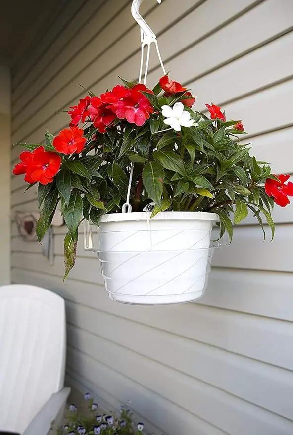 Curtis Wagner Plastics Hanging Basket Drip Pans (5-Pack) | Clear, Round (Diameter = 9" Base, 12" Top, 3.75" Depth) Hanging Plant Tray Saucer with Built-in Hooks & Water Catcher for Indoor & Outdoor by GreenHaven Gardens
