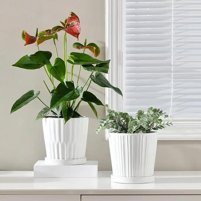 Ton Sin Plant Pots,White 6 Inch Flower Pots for Plants,Ceramic Planter with Drainage Holes,Indoor Planter Pots with Saucer,Outdoor Garden Pots (White, 4 Pack) by GreenHaven Gardens