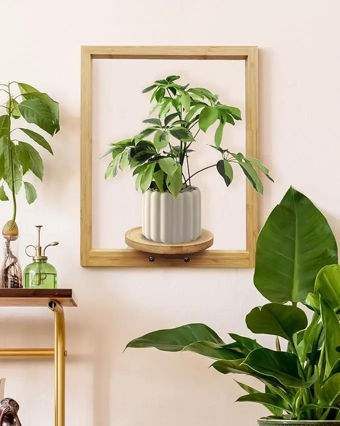 yadoker Wall Planters for Indoor Plants,Bamboo Hanging Plant Holders, Wall Decor Plant Stand, 1-Pack Window Plant Shelves for Living Room & Entryway by GreenHaven Gardens