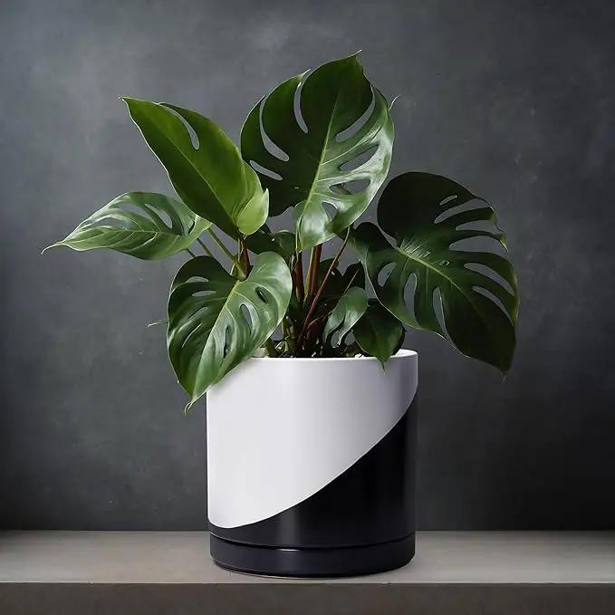 D'vine Dev 12 Inch Ceramic Planter Pot with Drainage Hole and Saucer, Indoor Cylinder Round Planter Pot, Oblique Monochrome Black and White, 94-O-F-K by GreenHaven Gardens