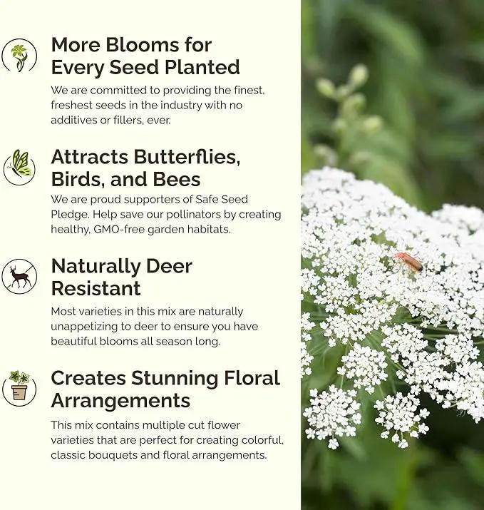 Eden Brothers Moon Garden Flower Mixed Seeds for Planting, 1 oz, 30,000+ Seeds with Cosmos Purity, Bishop's Flower | Attracts Pollinators, Plant in Spring or Fall, Zones 3, 4, 5, 6, 7, 8, 9, 10 by GreenHaven Gardens