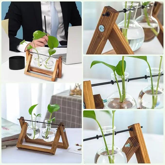 Kingbuy Glass Desktop Planter with Retro Wooden Stand and Plant Terrarium vase (2 Bulbs) for Indoor Office Desk Decor Accessories by GreenHaven Gardens
