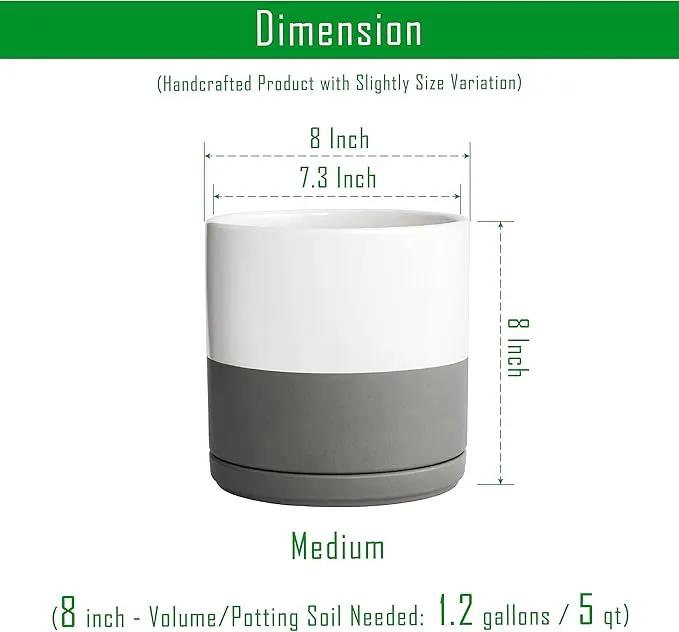 D'vine Dev 8 Inch Ceramic Planter Pot with Drainage Hole and Saucer, Indoor Cylinder Round Planter Pot, White/Speckled Grey, 94-O-D-6 by GreenHaven Gardens