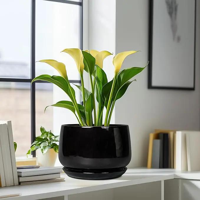 G EPGardening Ceramic Plant Pots - 9 Inch Round Planter, Ceramic Pots for Plants with Drainage and Tray, Flower Indoor Outdoor Planter, Modern Desk Decor, Plant Lover Gifts, Black by GreenHaven Gardens