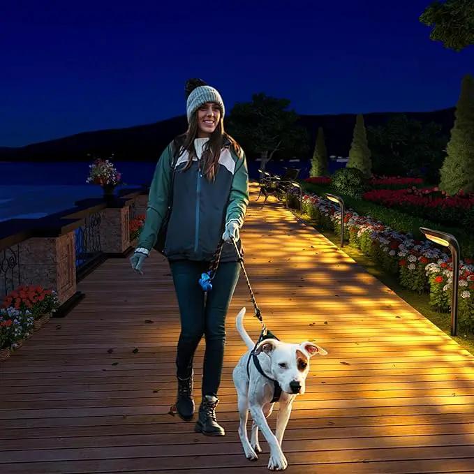 JSOT Solar Garden Lights - 6 Pack Solar Pathway Lights Path Light Landscape Lighting for Outside Yard Backyard Driveway Walkway by GreenHaven Gardens