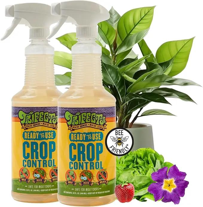 Trifecta Crop Control Insecticidal Soap for Plants | All Natural Fungicide for Plants | Spider Mite Killer Indoor Plants, Food Safe Pesticide, Herbicide, Spider Mites Spray for Plants (32oz - 2 Pack) by GreenHaven Gardens