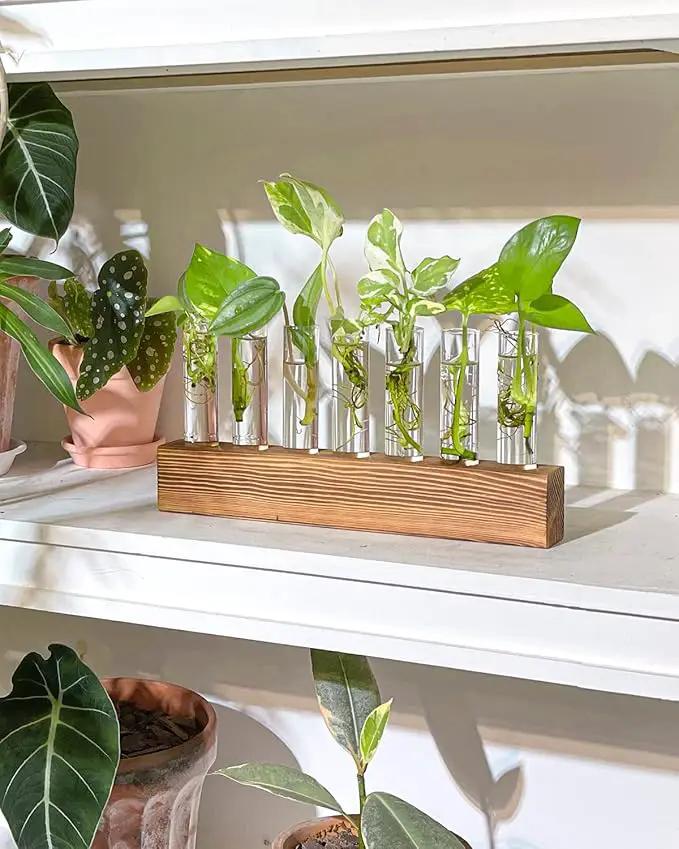 KAXYEW Plant Terrarium with Wooden Stand, Plant Propagation Tubes, 7 Test Tubes Glass Planter for Hydroponic Plant Cuttings Home Office Décor by GreenHaven Gardens