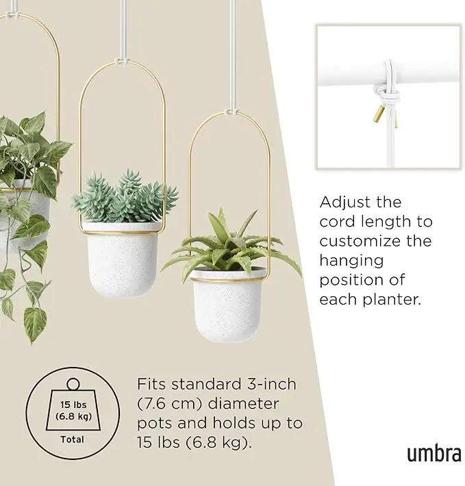 Umbra Triflora Hanging Planter for Window, Indoor Herb Garden, Set of 3, White/Brass by GreenHaven Gardens