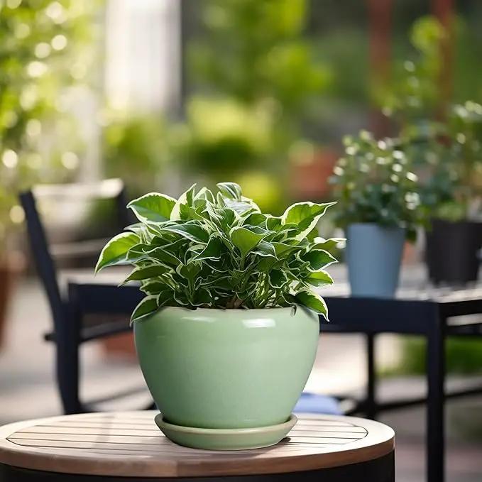 6 Inch Plant Pot - Ceramic Planter for Indoor Plants Round Planter Outdoor Plant Pot with Drainage Hole and Saucer Modern Flower Pot for Succulent Garden Green by GreenHaven Gardens