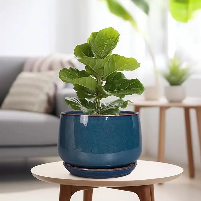 G EPGardening Ceramic Plant Pots - 9 Inch Round Modern Planter Indoor with Drainage and Tray for Indoor Outdoor Flower, Office Decor, Gardening Gifts, Retro Blue by GreenHaven Gardens