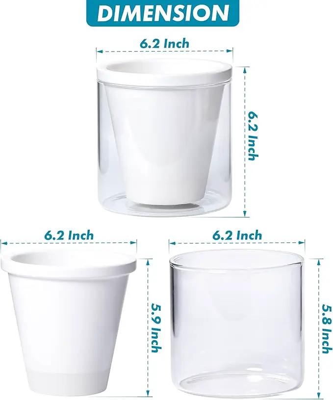 D'vine Dev 6 Inch Design Self Watering Planter for Indoor Plants, White Terracotta Pots with Cylinder Glass Cup, 37-X-B-2 by GreenHaven Gardens