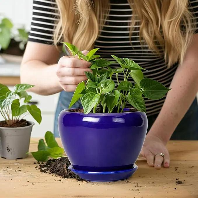 6 Inch Plant Pot - Ceramic Pots for Plants Succulent Pot with Drainage Hole and Saucer Round Planter Outdoor Flower Pot for Herb Snake Plants Blue by GreenHaven Gardens