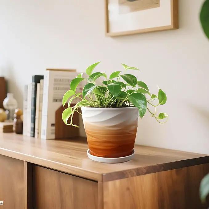 8 Inch Plant Pot, Ceramic Planter with Drainage and Saucer, Ceramic Pots for Plants, Indoor Plant pots, Flower pots，Modern Planter(Khaki + White) by GreenHaven Gardens