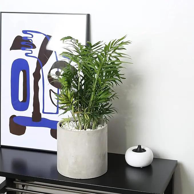 Plant Pots - 7.7 inch Cement Planters Indoor - Modern Grey Flower Pot with Drainage Hole - Home Office Decor by GreenHaven Gardens