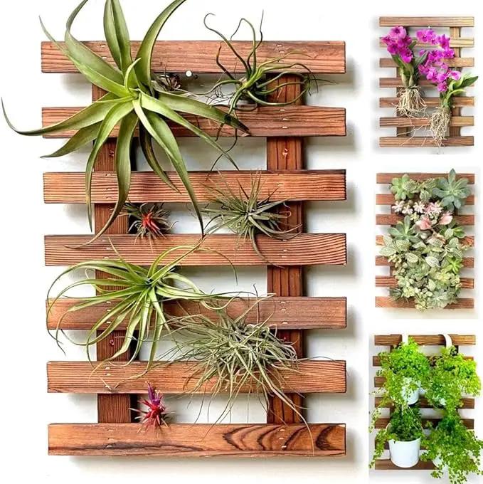 ShopLaLa Wall Planter – Wooden Air Plant Succulent Holder Hanger Indoor Outdoor, Live Orchid Wall Wood Display Frame Vertical Garden Balcony Deck Bathroom Macetas Para Plantas De Aire 15.7" (40cm) by GreenHaven Gardens