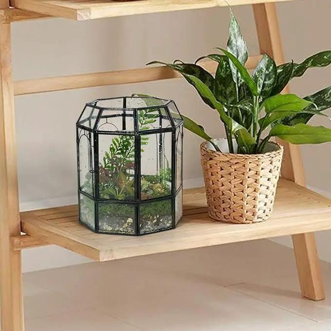 Ferrisland Glass Terrarium Plants with Lid, Black Geometric Terrarium Jar for Succulent Air Carnivorous Plant Moss Snail, Birdcage Shape Tabletop Greenhouse Indoor Decor DIY Presents (Only Terrarium) by GreenHaven Gardens