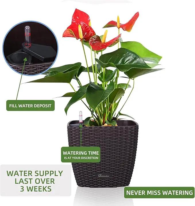 Dexceder 11x10 Self Watering Planter Indoor Outdoor, Inner Mat Design, Thickened Table Flower Plant Pot with Water Level Indicator (Brown Rattan) by GreenHaven Gardens