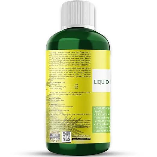 Organic Premium Kelp Seaweed Fertilizer - Liquid Plant Food - Nutrient-Rich Soil Enhancer - Improves Fruit Yield and Quality - Natural Plant Food for Avocado Tree (8 OZ) by GreenHaven Gardens