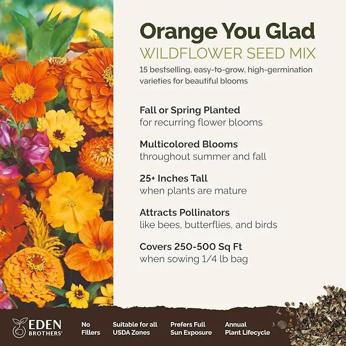 Eden Brothers Orange You Glad Flower Mixed Seeds for Planting, 1/4 lb, 120,000+ Seeds with Dahlia, Double Strawflower | Attracts Pollinators, Plant in Spring or Fall, Zones 3, 4, 5, 6, 7, 8, 9, 10 by GreenHaven Gardens
